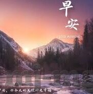 巴西世界杯各队实力-巴西世界杯各队实力分析