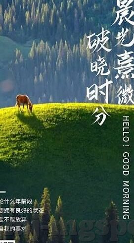 德州扑克游戏教学-德州扑克，掌握策略与技巧的游戏教学