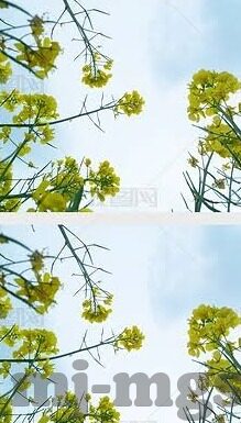 世界杯乌拉圭冠军-乌拉圭，世界杯冠军的荣耀与传承