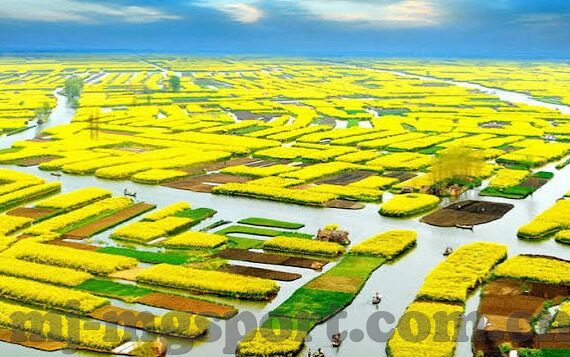 足球比分即时比分比分-足球比分即时更新，一场场数字背后的激情与悬念